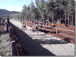 En sector de San Ramón de Ercilla inauguraron flamante cancha para carreras a la chilena