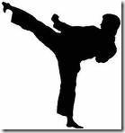 Comienzan clases gratuitas de karate en Club Samurai de Temuco