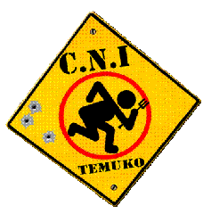 Inédito en Temuco: banda punk se presenta en versión UNPLUGGED.