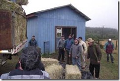 Llevaron apoyo a campesinos de Carahue afectados por emergencia climática