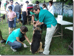 Exitoso operativo de vacunación de mascotas se realizó en Ñancul