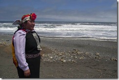 Ana Llao: desde La Araucania, primera mujer mapuche y primera mayoría al Consejo Nacional de Conadi