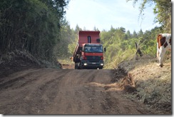 Mejoramiento caminos rurales