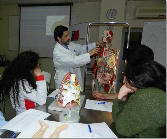 Taller de Anatomía Colegio Concepción 16