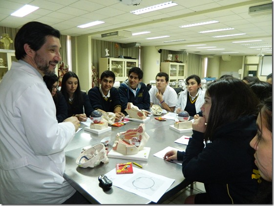 Taller de Anatomía Colegio Montessori 1