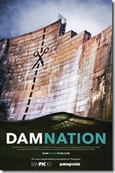 poster oficial DamNation - Chile