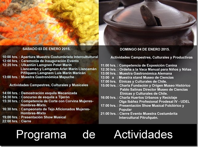 Programa Muestra Costumbrista 2015