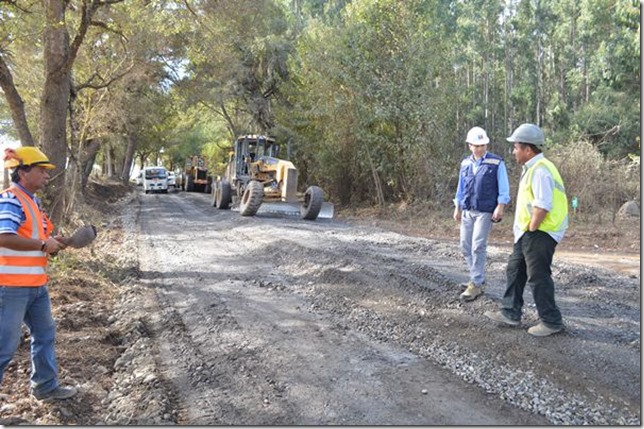 Trabajos en Villa Cautin