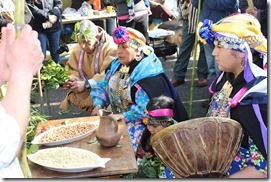 FOTO año nuevo mapuche 3