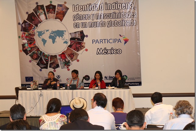Delegacion de La Araucanía asiste al Cuarto Taller Temático del Programa Participa (5)