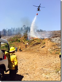 combate forestal