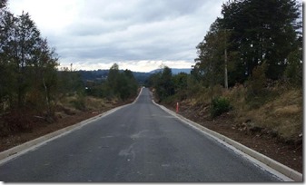 Camino Chesque - Chaura en Villarrica (2)