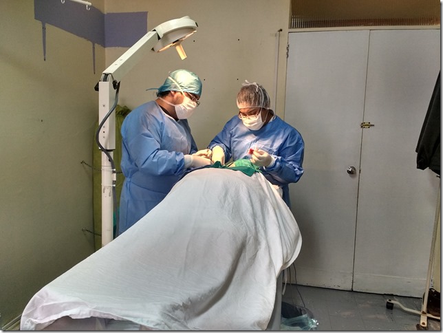 Cirugías_Villarrica_3