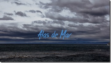 alas-de-mar