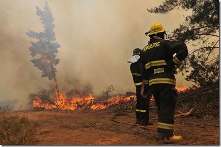 Incendio Forestal Lago Peñuela en Valparaiso