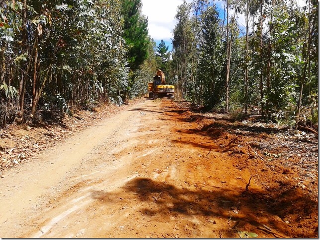Conservacion de 20,34 km de caminos en 12 comunidades de Puren (1)