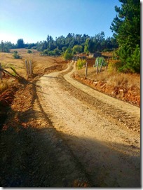 Conservacion de 20,34 km de caminos en 12 comunidades de Puren (4)