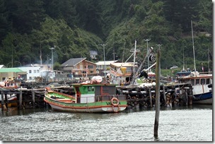 caleta queule