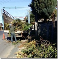 FOTO segundo operativo de escombros y ramas