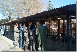 FOTO visita refugio canino 3