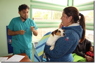 esterilizacion 1