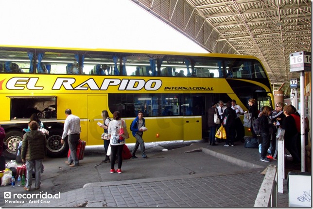 bus argentino