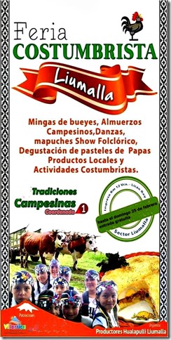 Feria Costumbrista de Liumalla (1)