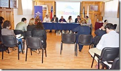 Comisión de Salud del Gobierno Regional de La Araucanía sesiona en Villarrica (2)