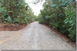 Vialidad ejecuta trabajos de conservación de caminos en las comunas de Lumaco, Los Sauces y Purén  (1)