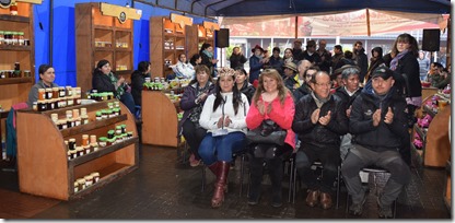 Feria de los Aderezos y Mermeladas en Villarrica