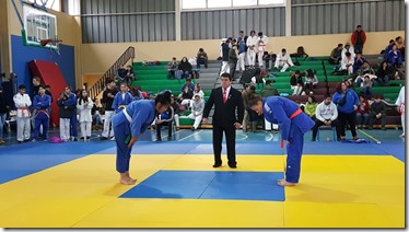 judo zonal sur lchtemuco (2)