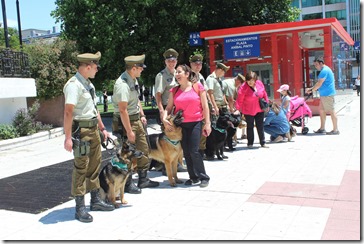 Patrullajes caninos