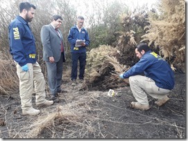 Fuerza tarea incendio cerro Mariposa Tco (2)