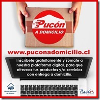 Afiche nueva web de negocios