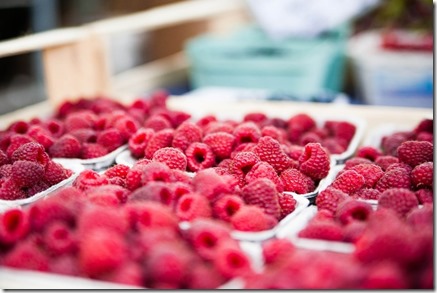 Industria alimentos procesados 2