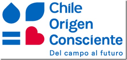 Logo Chile Origen Consciente
