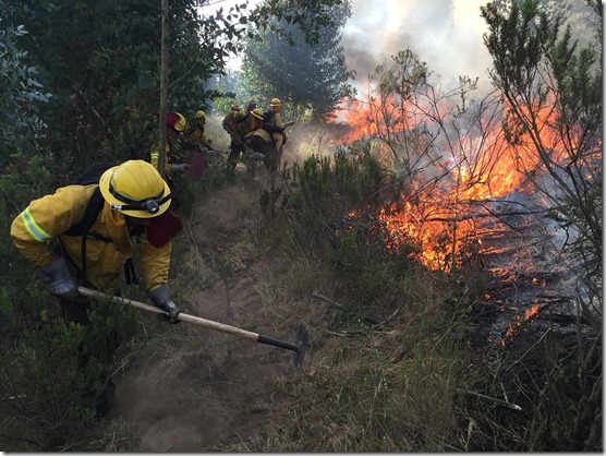 incendios en el campo Gentileza Conaf