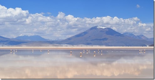 Ganador Público_LagunaLosFlamencos_Ollagüe_MiguelFernández