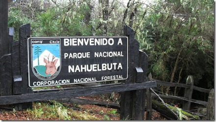 parque nacional nahuelbuta