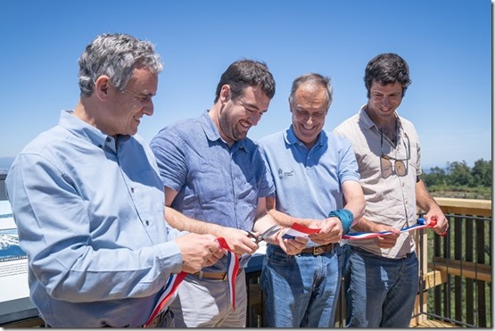 Francisco Ruiz Tagle, Luciano Rivas, Luis Felipe Gazitua y Diego Pereira