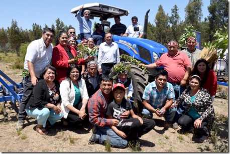 Tractor Cholchol