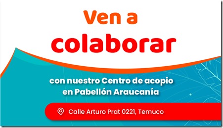 Afiche - Verano Cultural Pabellón Araucanía