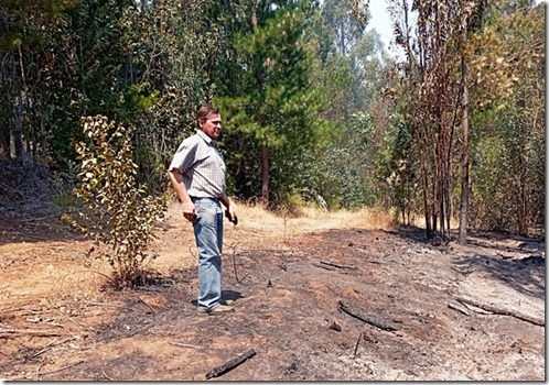 Diputado Rathgeb comisión incendios forestales