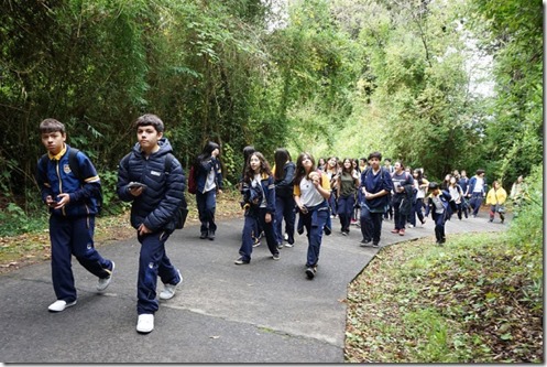 Caminata Cerro Ñielol Colegio Montessori (1)