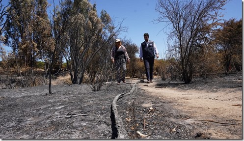 INDAP Entrega Primeros Bonos a Incendios Forestales-3