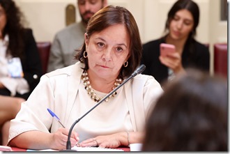 Senadora Aravena 1