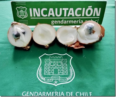 Incautación Cebollas