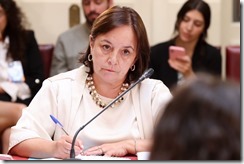 Senadora Aravena 1 (1)