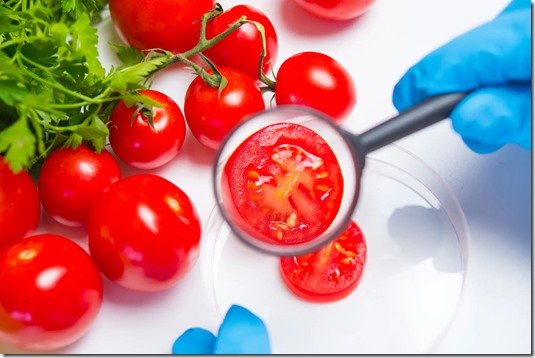 tomate-nanotecnologia-1