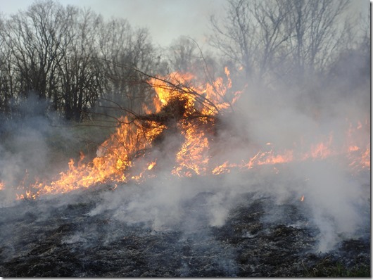 459 incendios y más de 1800 hectáreas afectadas